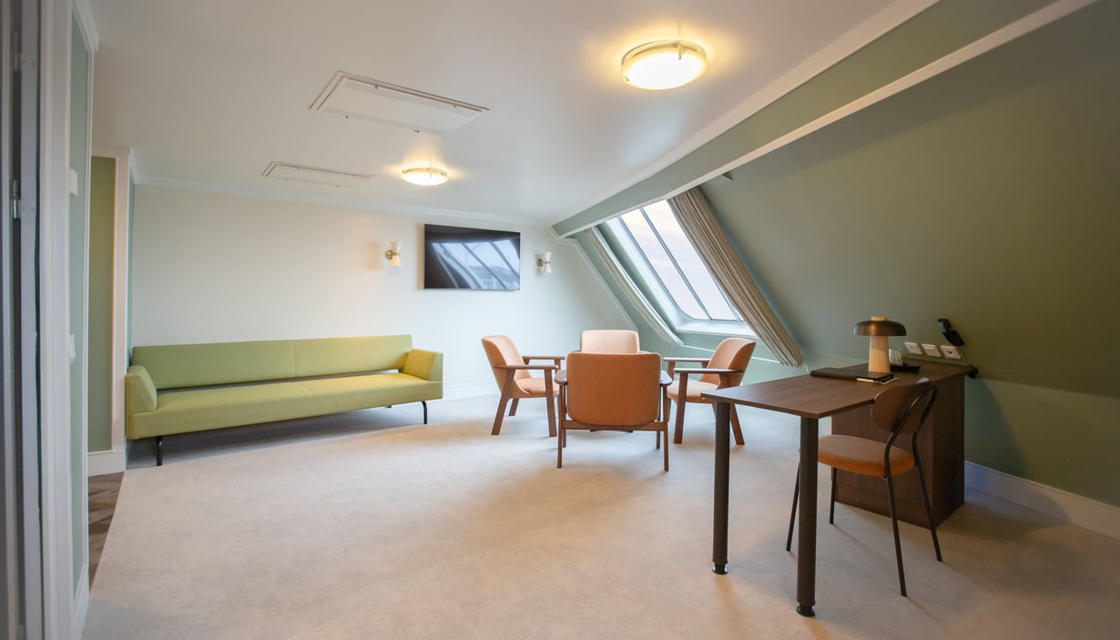 Owner’s Suite - dagligstue