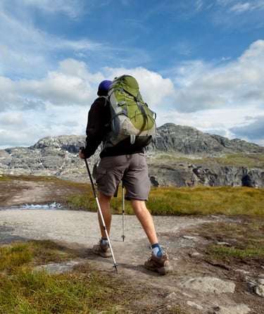 Mand vandrer i de norske bjerge