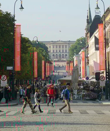 Travl gade på Karl Johans gate i Oslo.
