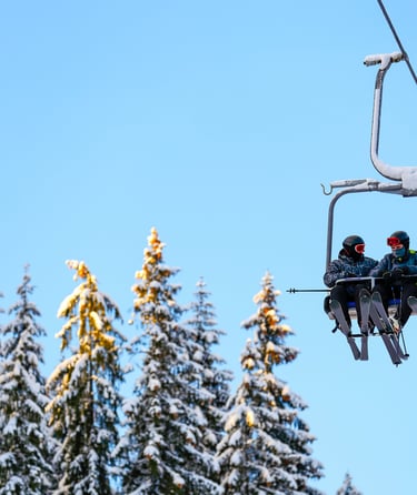 Gruppe af mennesker på en skilift med sneklædte træer i baggrunden.