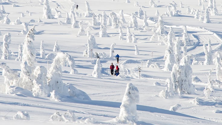 Tre personer der går i et snedækket landskab med snedækkede træer.