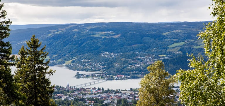 Udsigt over Lillehammer med sø og bakker.