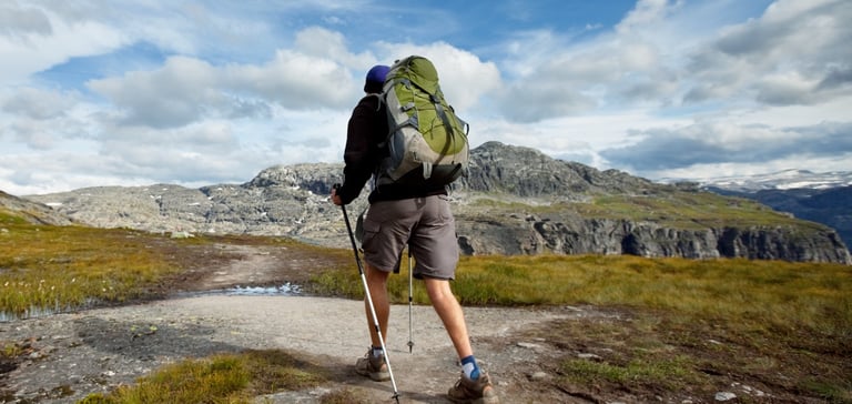 Mand vandrer i de norske bjerge