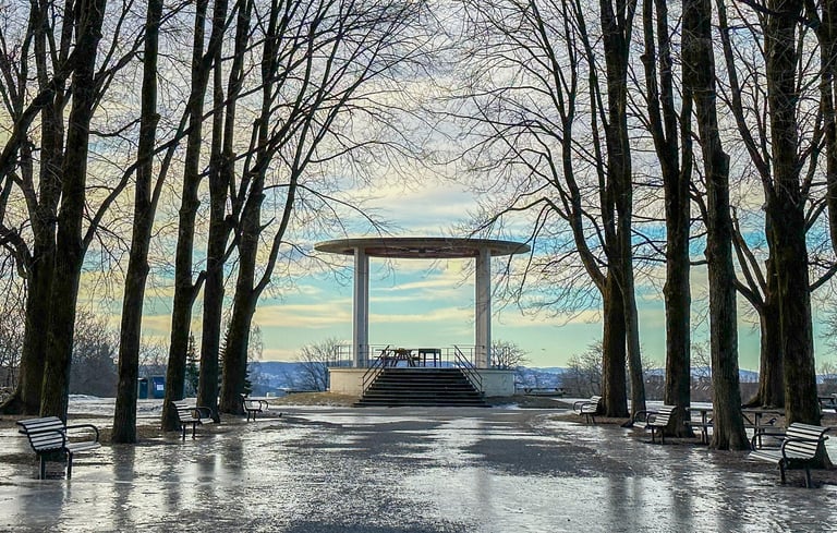 Sti med nøgne træer mod pavillon