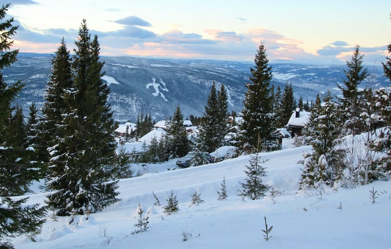 Sneklædt landskab med huse og stedsegrønne træer på en bakkeside.