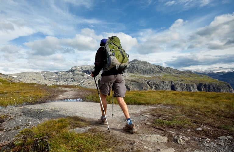 Mand vandrer i de norske bjerge
